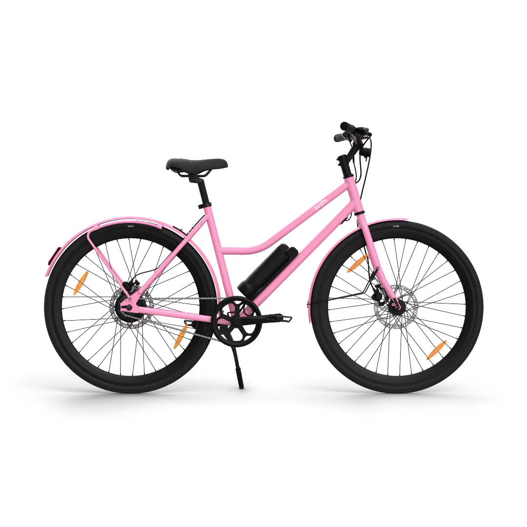 B-Ware E-Bike - California Roll 3.0+ - Image 4