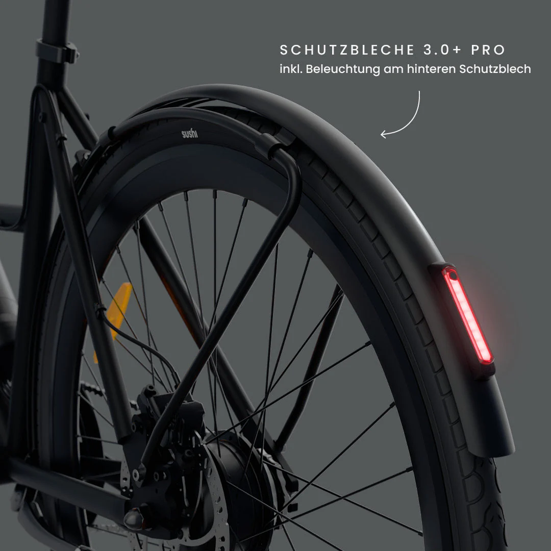E-Bike SUSHI BIKE 3.0+ - Image 21