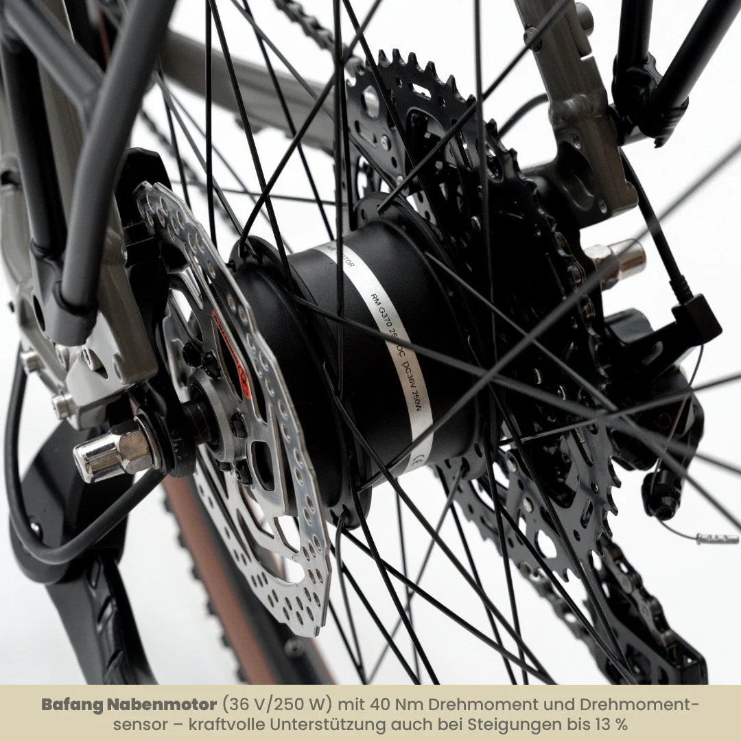 E-Bike SUSHI BIKE TABI - Image 9